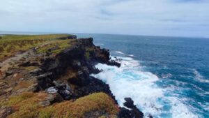 Imagen de WhatsApp 2025-07-28 a las 20.35.03_93f8e045