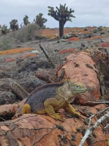 Imagen de WhatsApp 2025-07-28 a las 20.47.47_8c60e22b