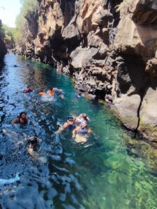 Imagen de WhatsApp 2025-07-28 a las 21.01.24_7c0b92bb